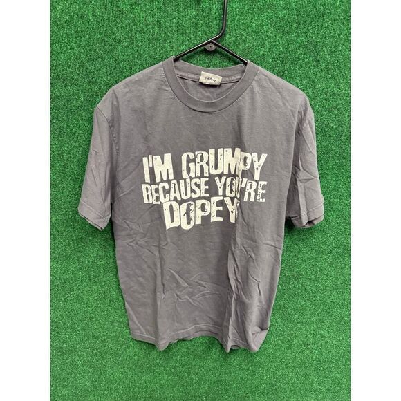 Disney World Gray 7 Dwarves T-Shirt Sz Large Grumpy & Dopey - Picture 1 of 6